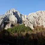 Complex Chayka