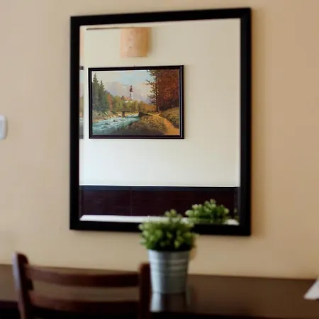 Complex Chayka فندق