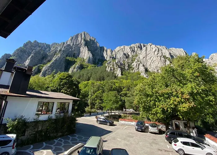 Complex Chayka Wraca