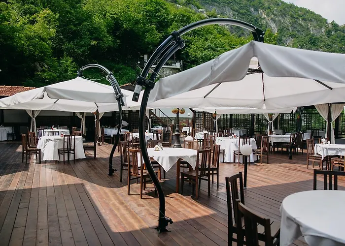 Complex Chayka Hotel