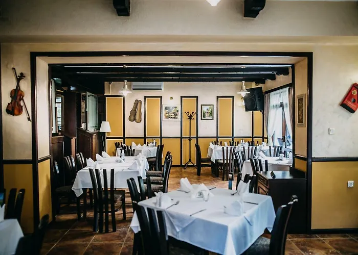 Complex Chayka Hotel 3*